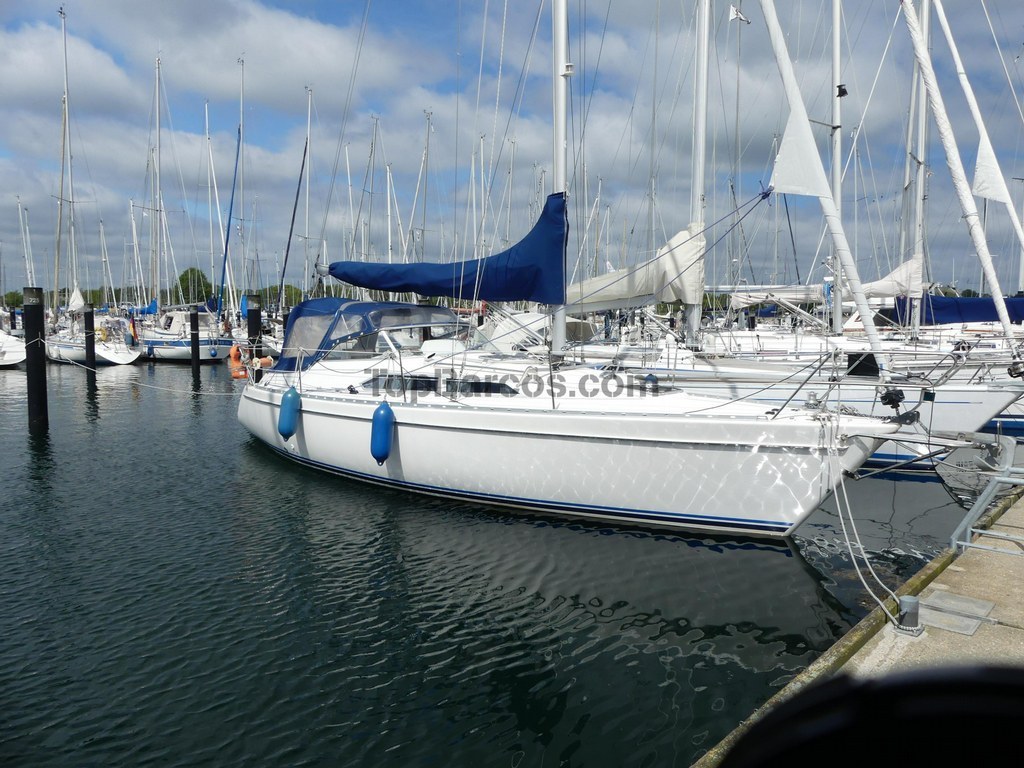 maxi 340 yacht